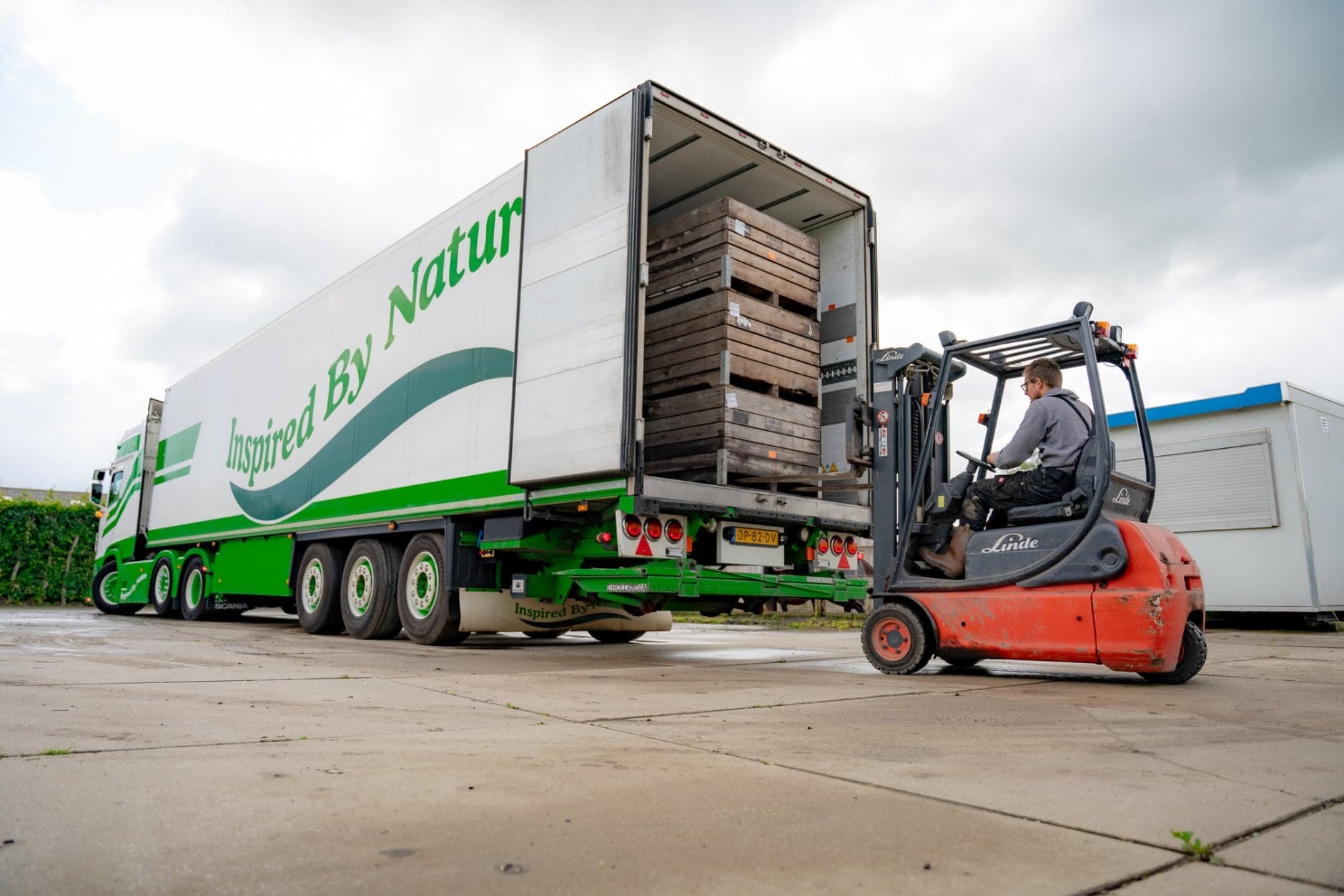 Laden en lossen van fruit