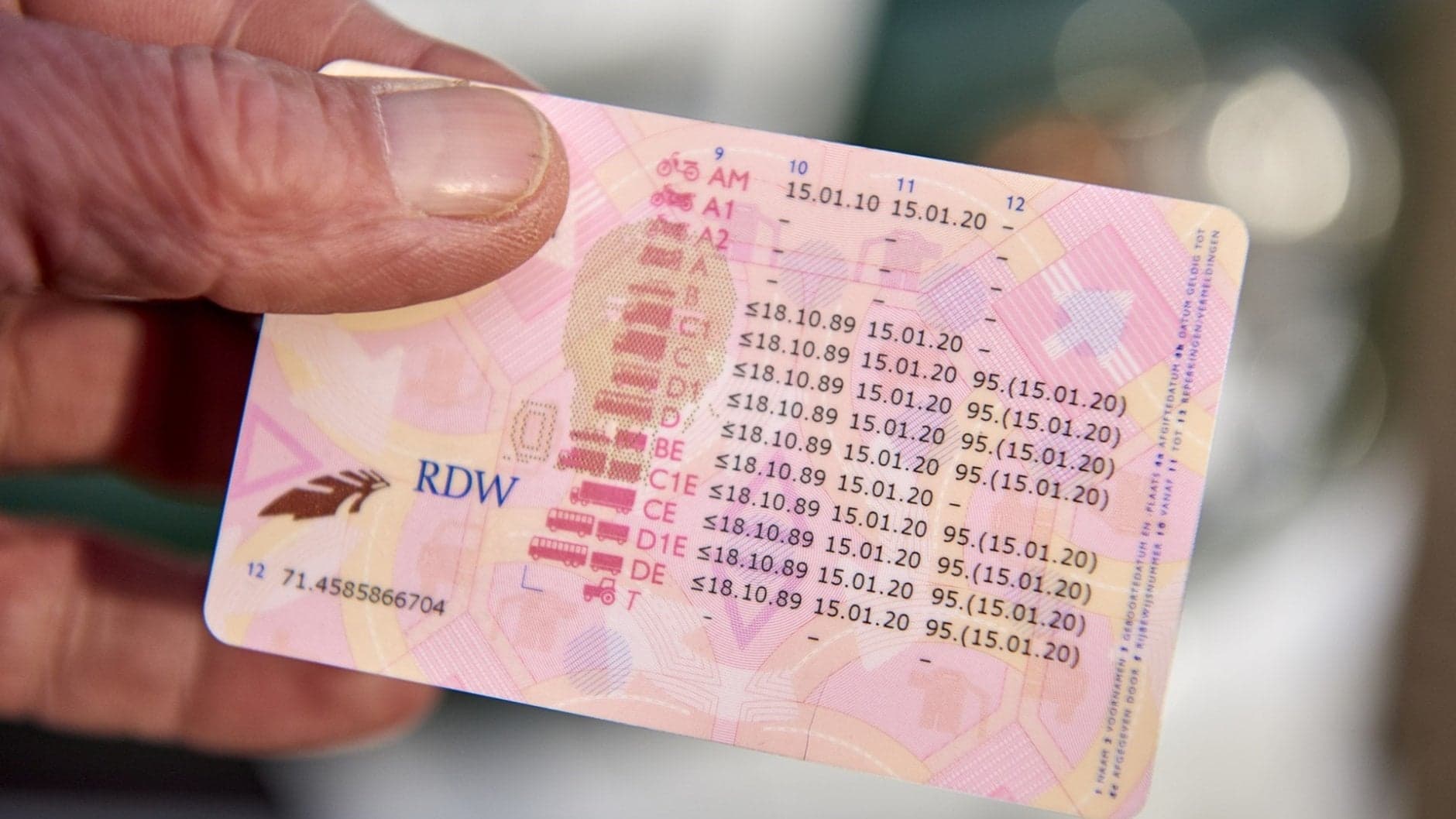 Achterkant rijbewijs