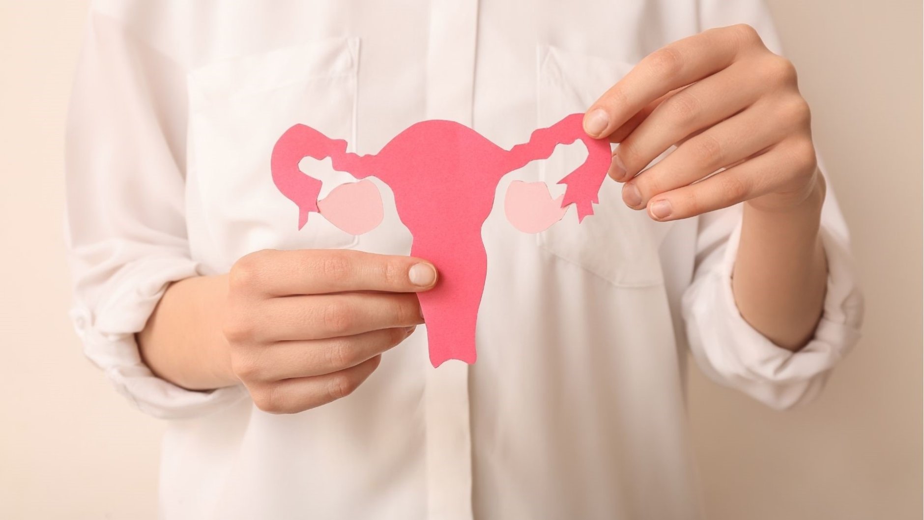 in de overgang - transport en logistiek