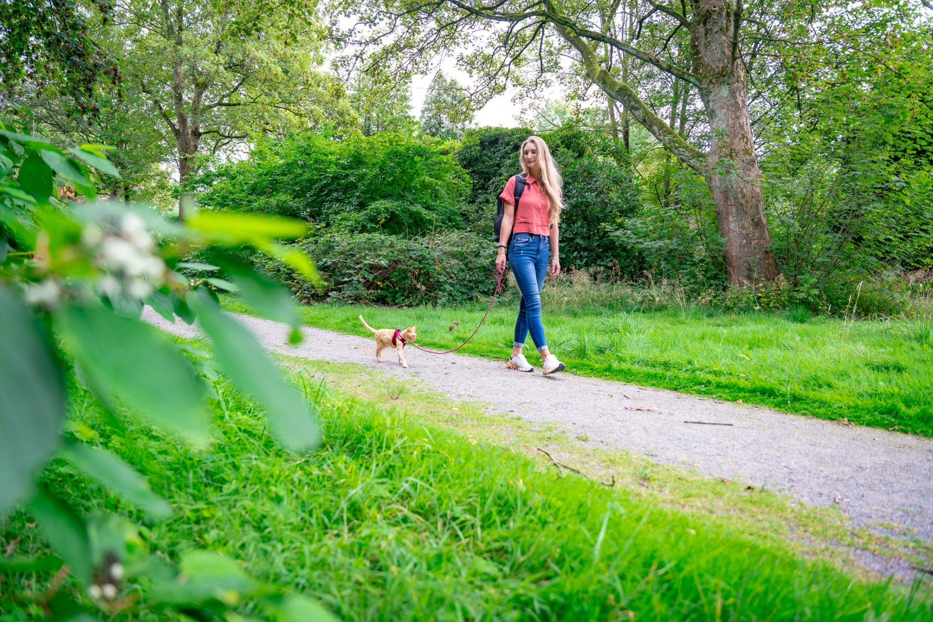 Internationaal vrachtwagenchauffeur Bo van Dijk in de transport en logistiek