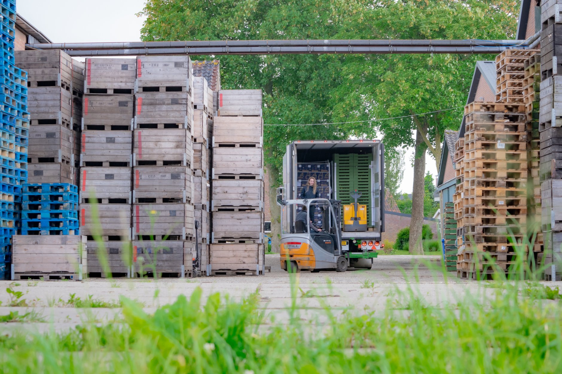 Laden en lossen van fruit